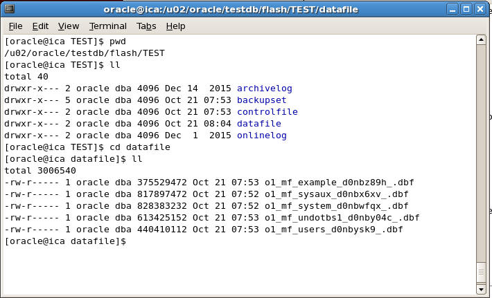 view rman backup files command prompt