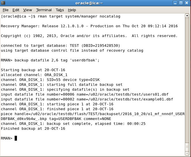 rman datafile backup