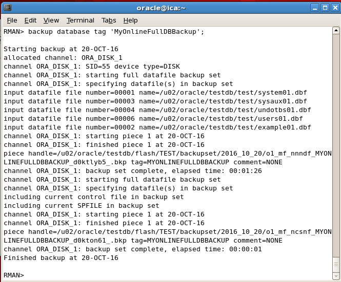 rman full online backup