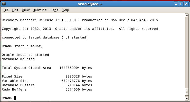 Start and mount the database using RMAN