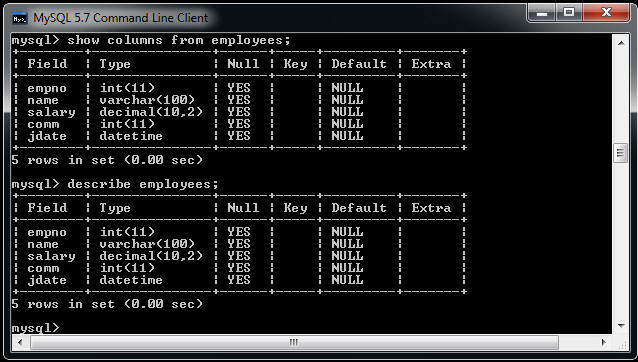 describe table in mysql